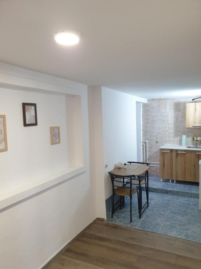 Fenix Apartman II Заечар Экстерьер фото